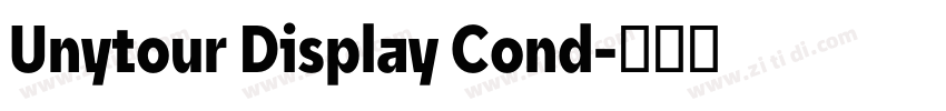 Unytour Display Cond字体转换 Unytour Display Cond字体转换